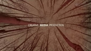 registratie film video media productie reclame films bomen trees